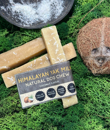 Coconut Yak Dog Chew - The Bark Market