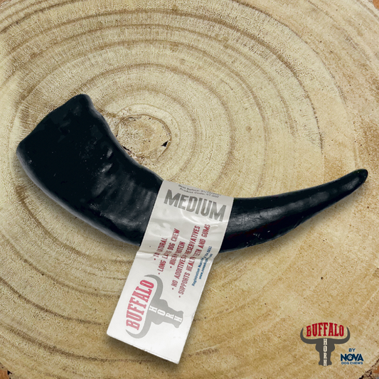 Buffalo Horn Medium - The Bark Market