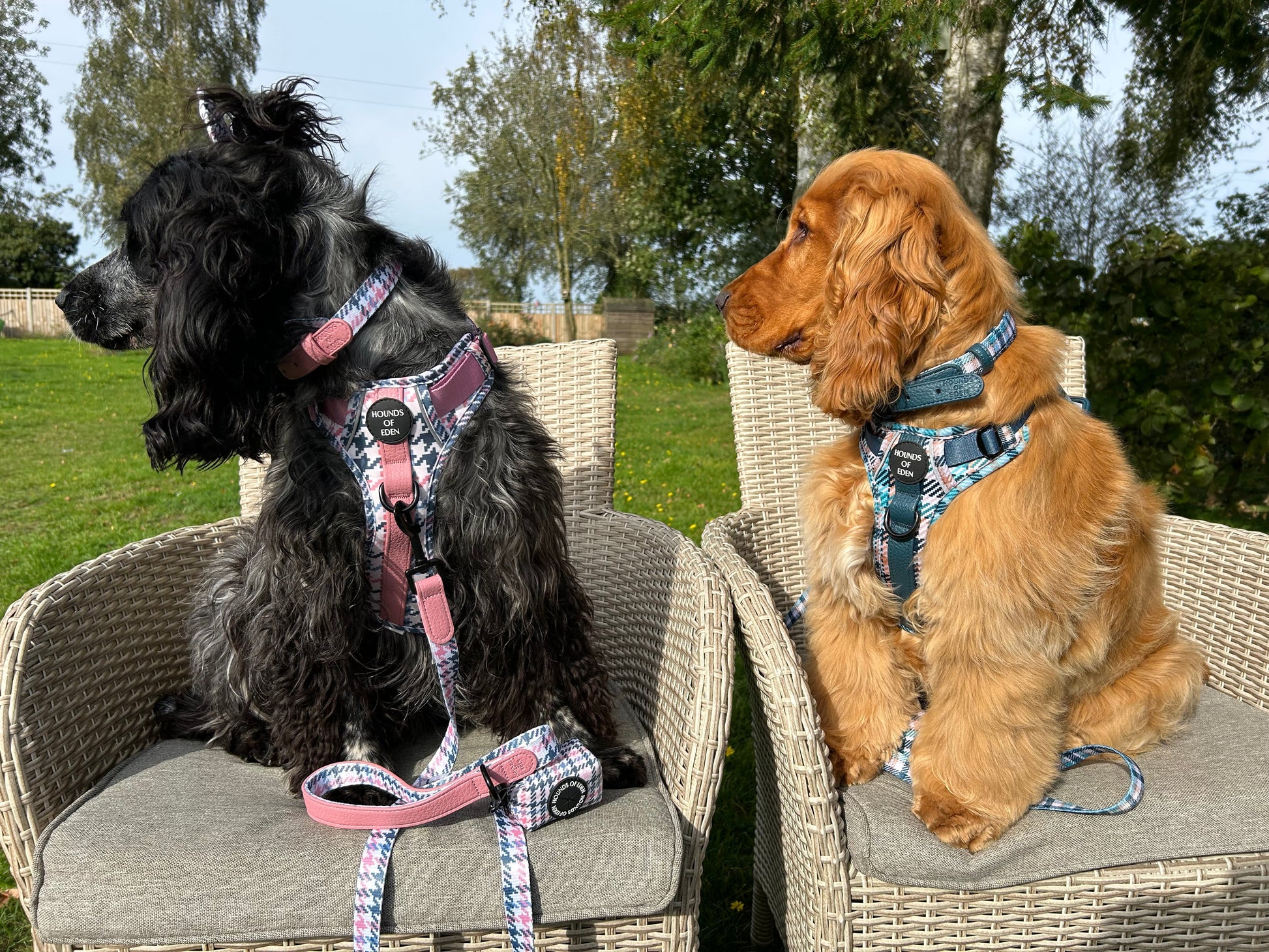 Pink Houndstooth Dog Supaw Strong Lite™ Harness (XS-XL) - The Bark Market