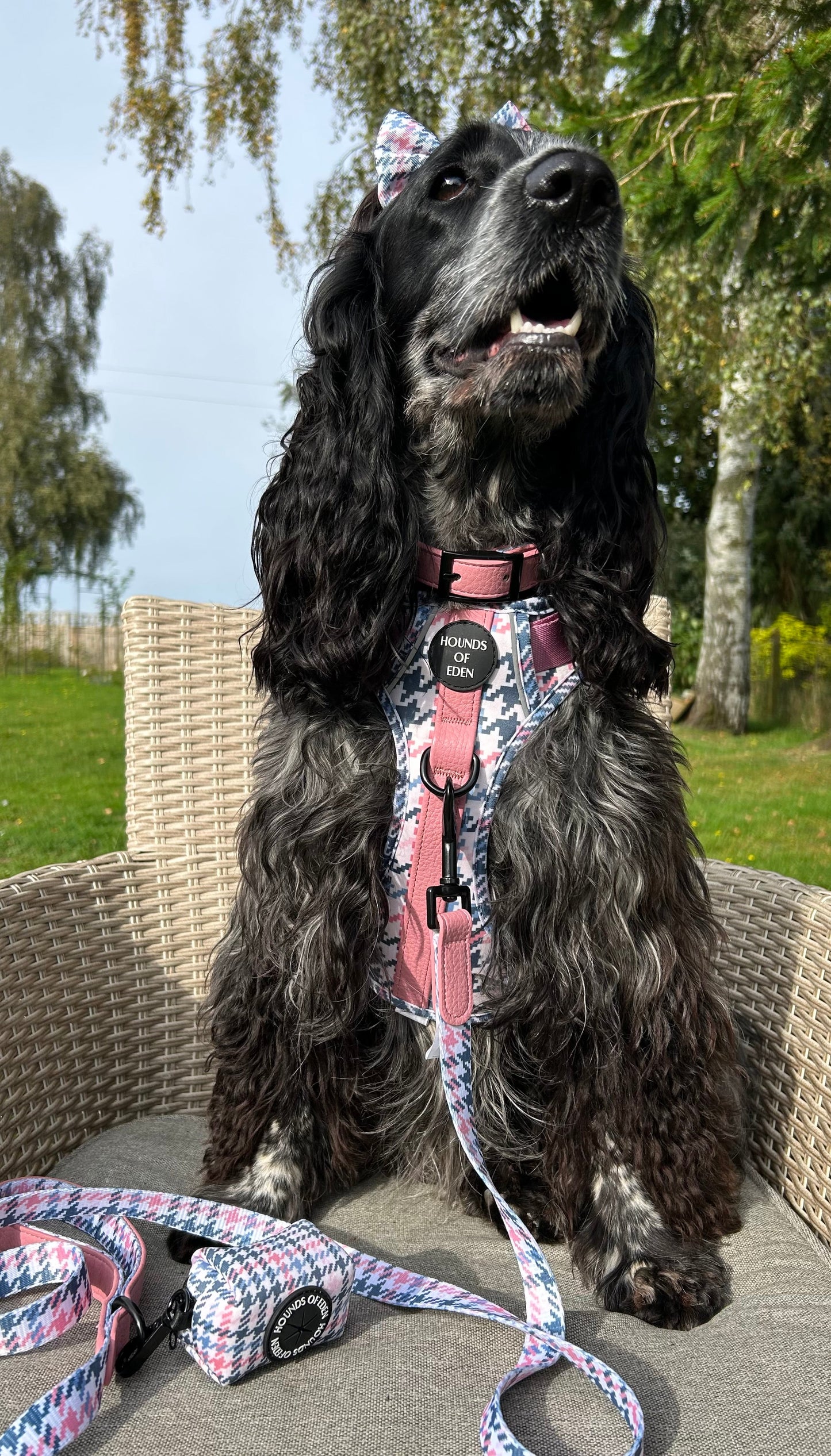 Pink Houndstooth Dog Supaw Strong Lite™ Harness (XS-XL) - The Bark Market