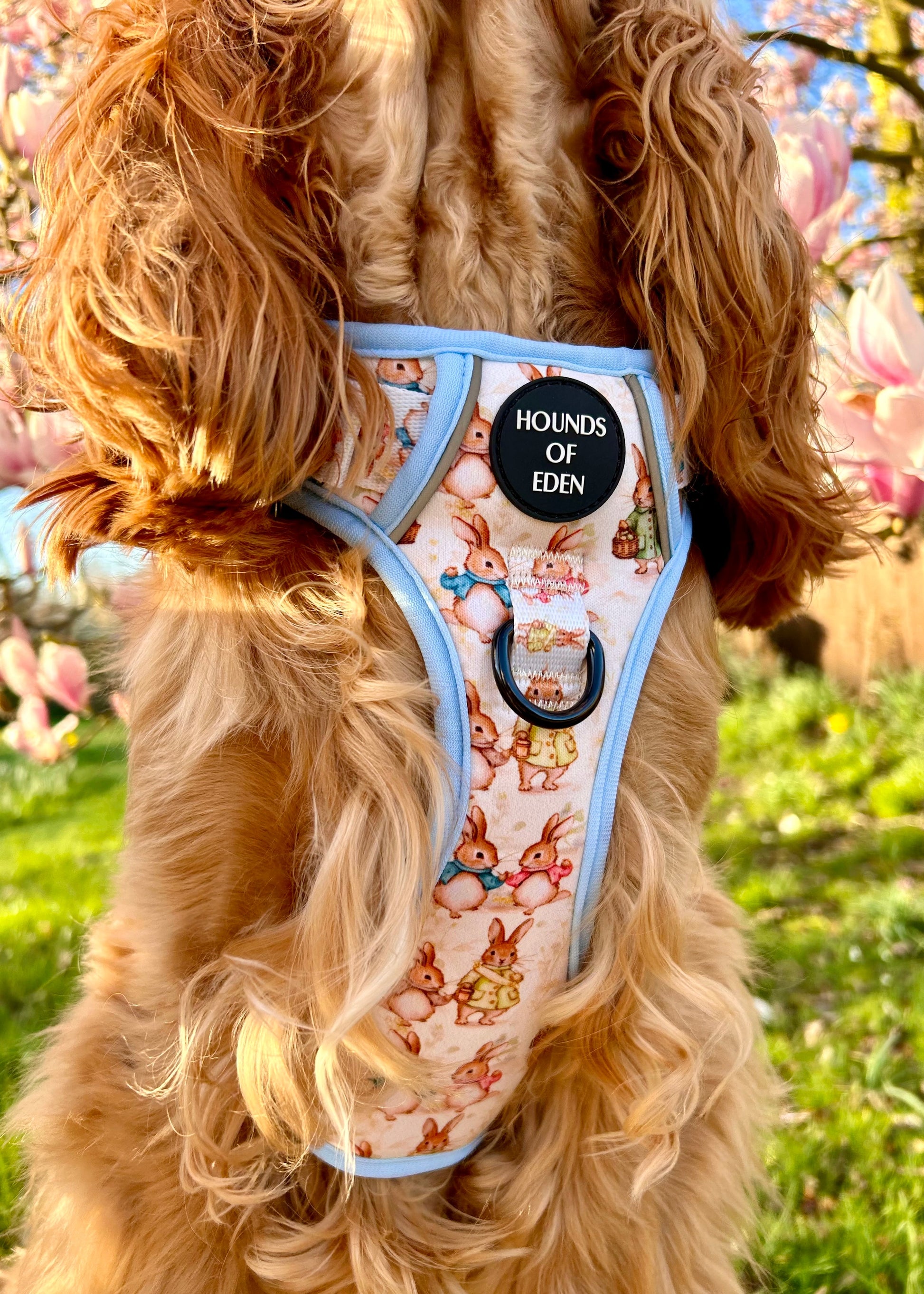 Bunny Tales - Blue, Dog Supaw Strong™ Lite Harness (XS-XL) - The Bark Market