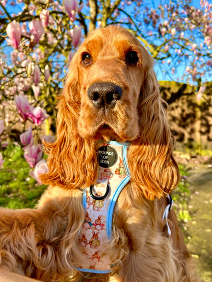 Bunny Tales - Blue, Dog Supaw Strong™ Lite Harness (XS-XL) - The Bark Market