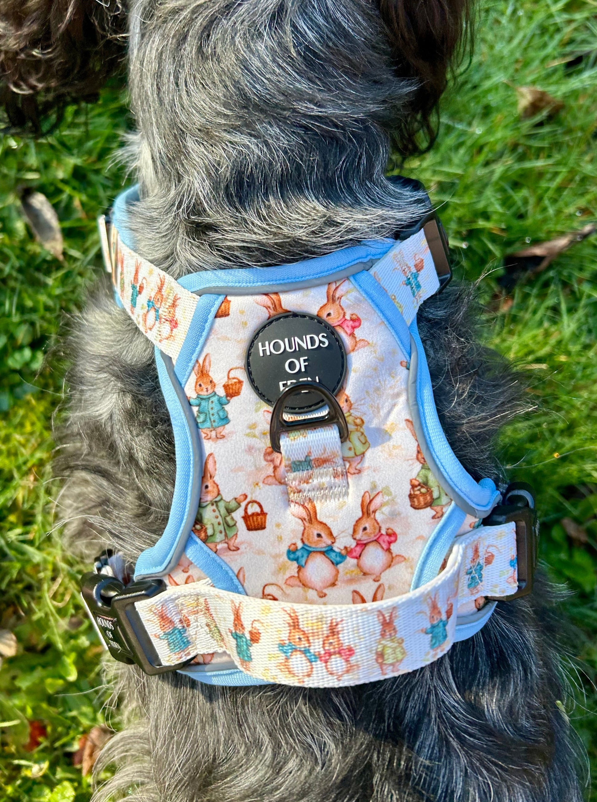 Bunny Tales - Blue, Dog Supaw Strong™ Lite Harness (XS-XL) - The Bark Market