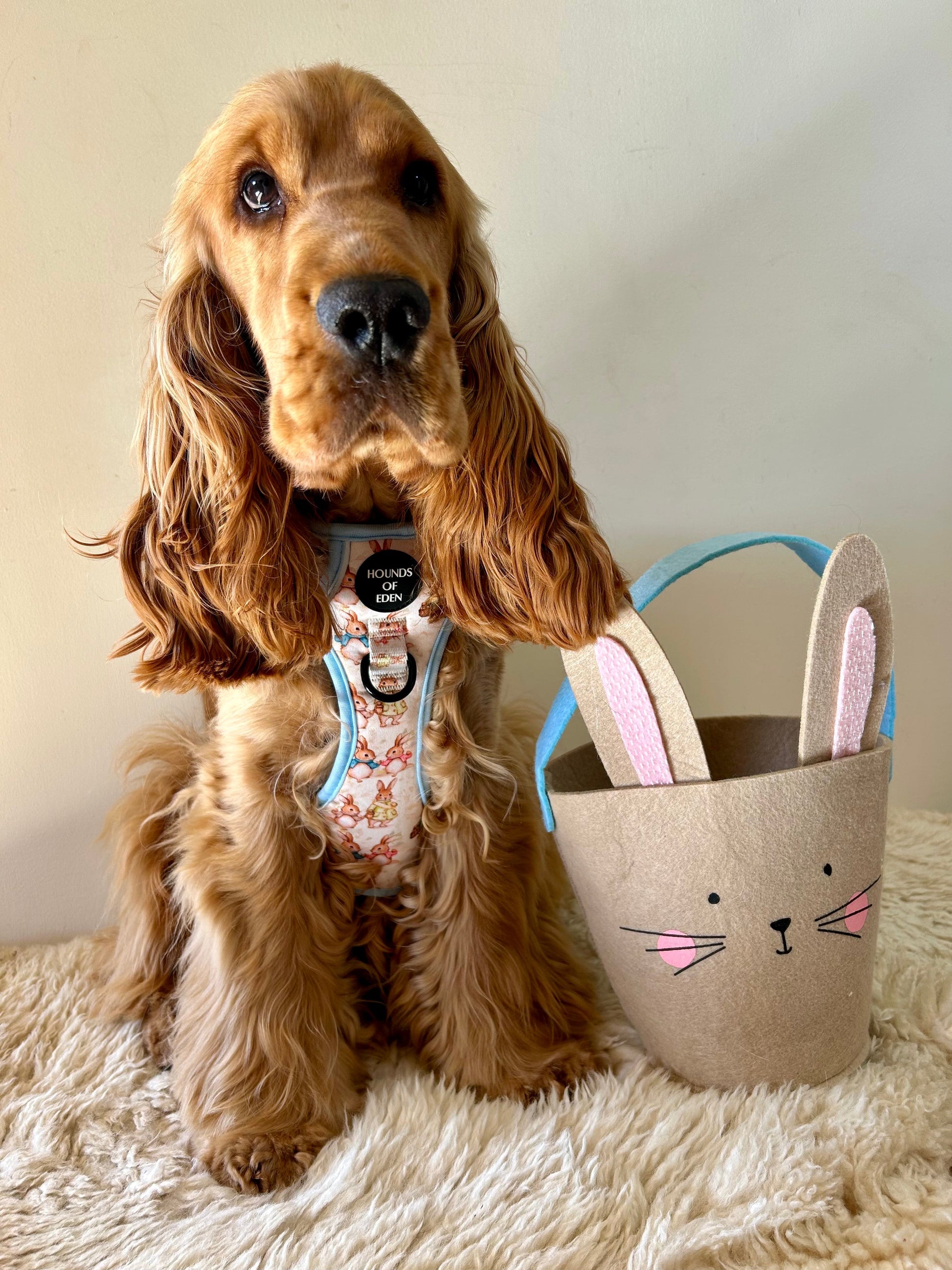 Bunny Tales - Blue, Dog Supaw Strong™ Lite Harness (XS-XL) - The Bark Market