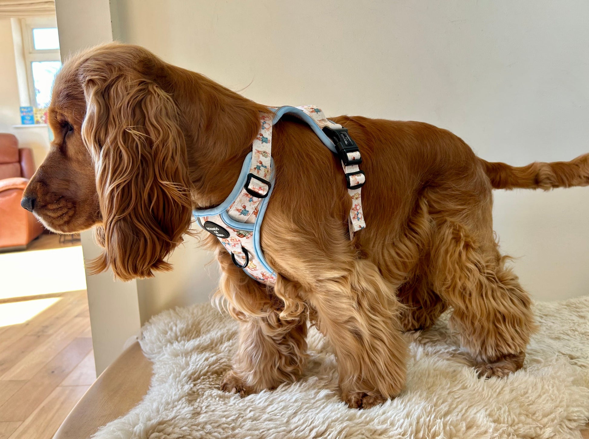 Bunny Tales - Blue, Dog Supaw Strong™ Lite Harness (XS-XL) - The Bark Market