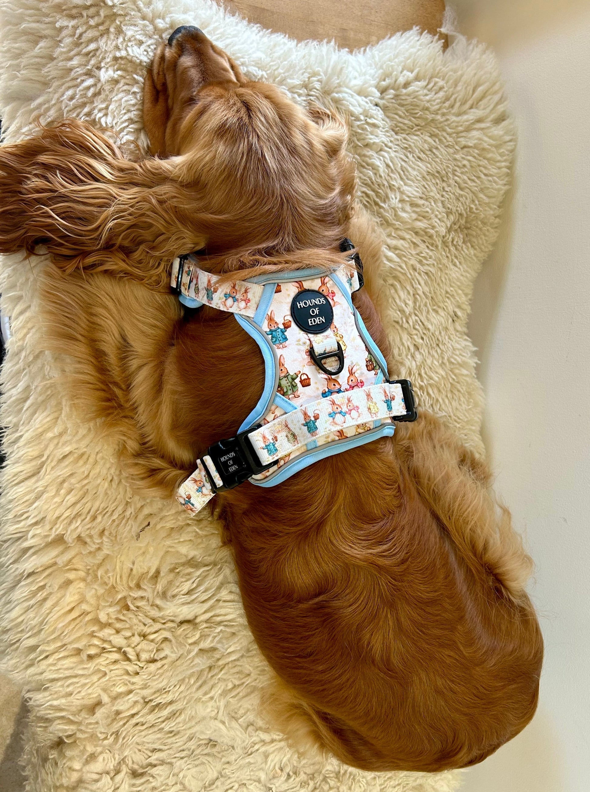 Bunny Tales - Blue, Dog Supaw Strong™ Lite Harness (XS-XL) - The Bark Market