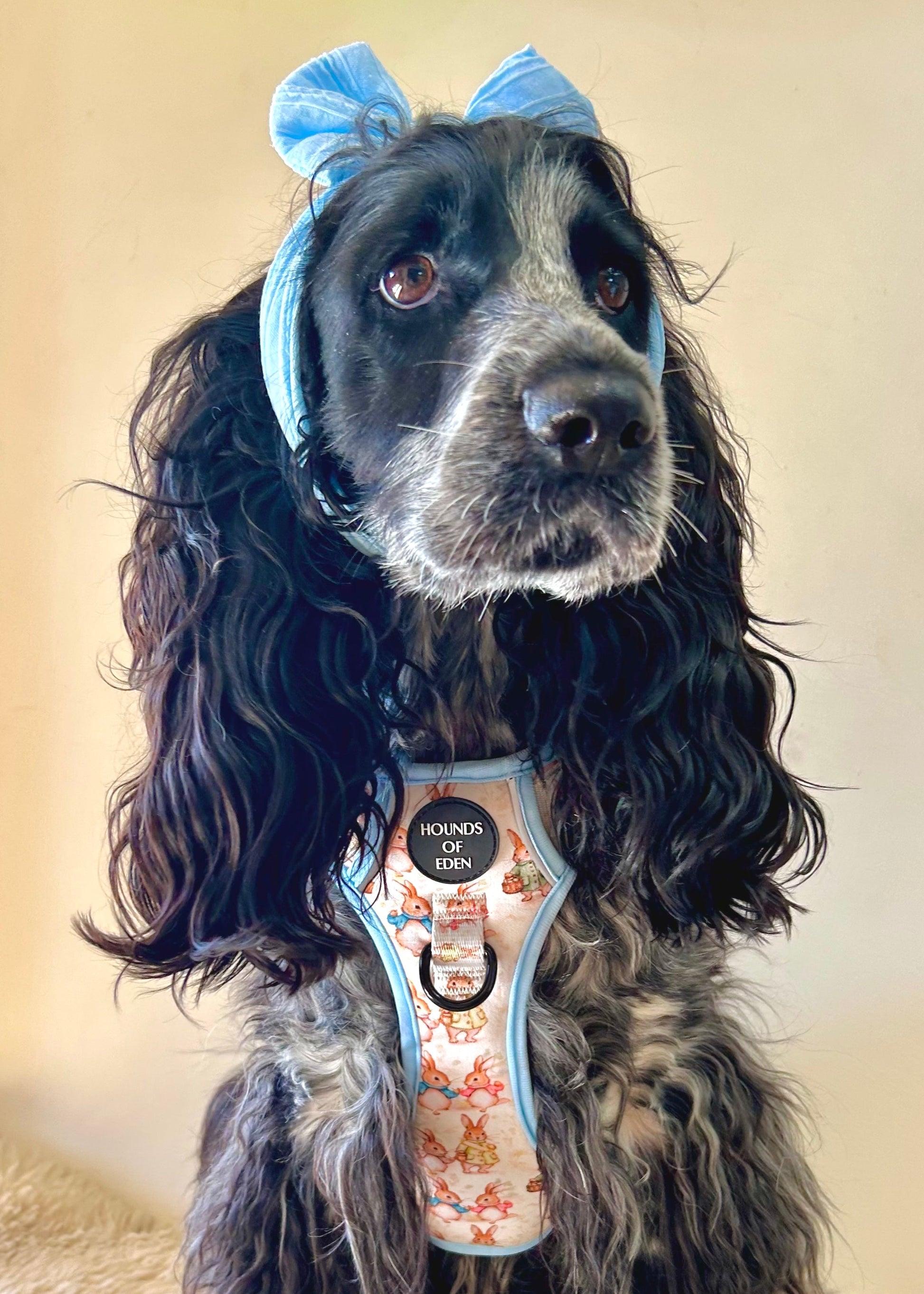 Bunny Tales - Blue, Dog Supaw Strong™ Lite Harness (XS-XL) - The Bark Market