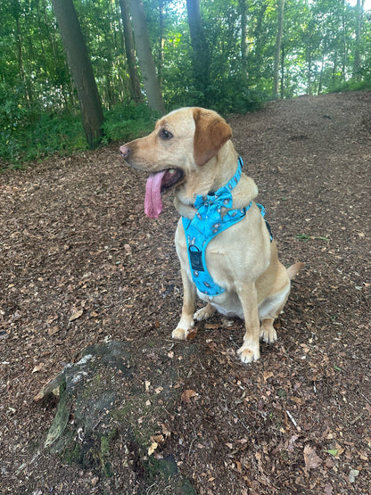 Otterly Lovely Tactical Dog Harness