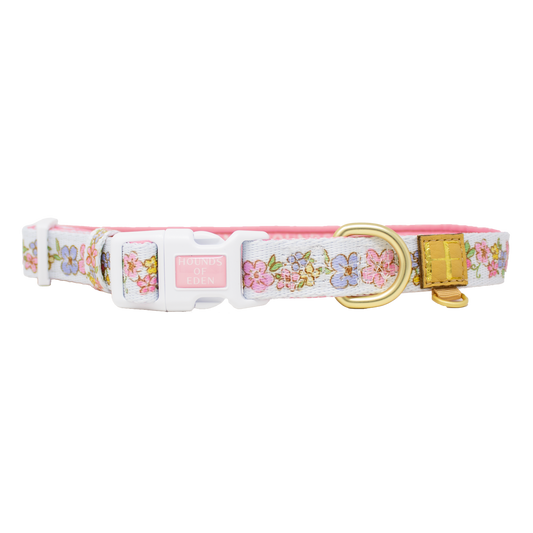 Pastel Petals - Dog Collar + ID Tag Holder - The Bark Market