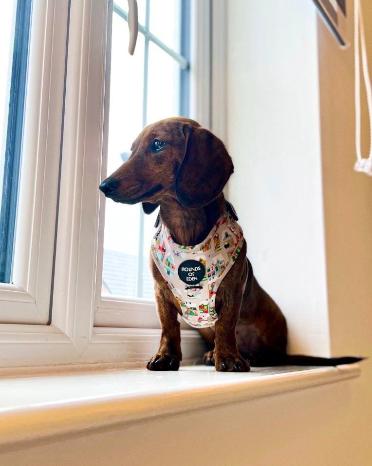 Doggy in the Window Design Dog Harness - The Bark Market
