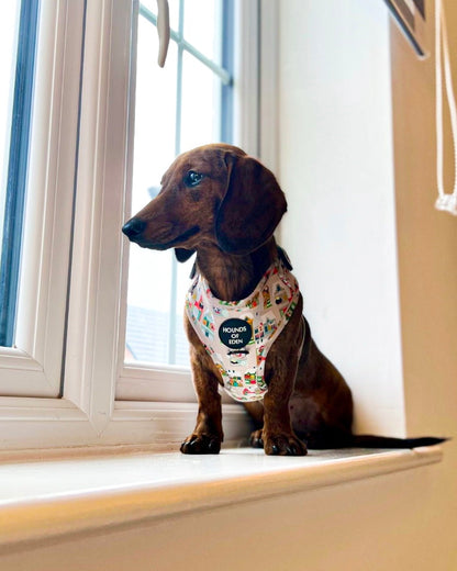 Doggy in the Window Design Dog Harness - The Bark Market