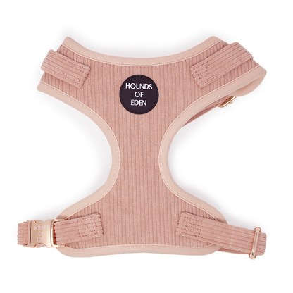 Peach Schnapps - Pink Corduroy Harness - The Bark Market