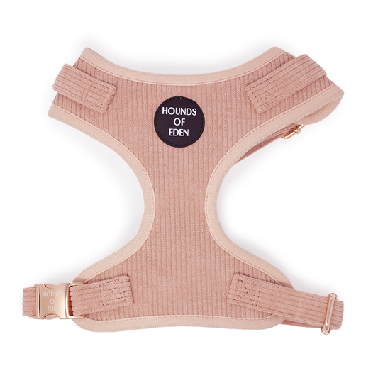 Peach Schnapps - Pink Corduroy Harness - The Bark Market