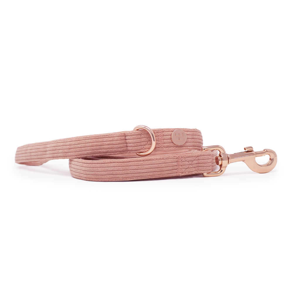 Peach Schnapps - Pink Corduroy Harness - The Bark Market