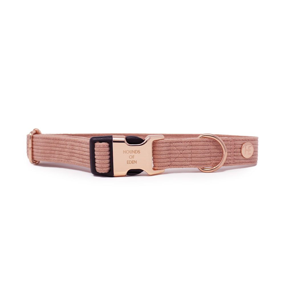 Peach Schnapps - Pink Corduroy Harness - The Bark Market