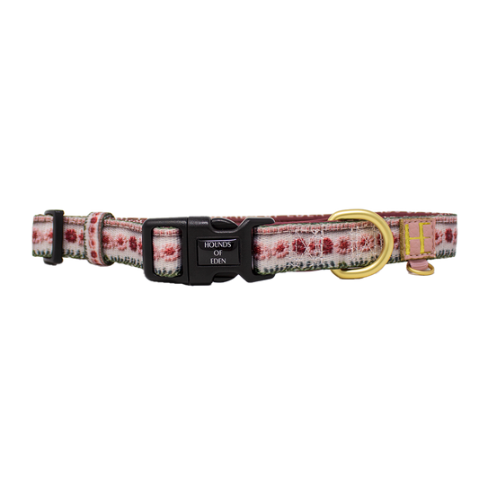 Bella's Jumper Dog Collar + Tag Holder - The Bark Market