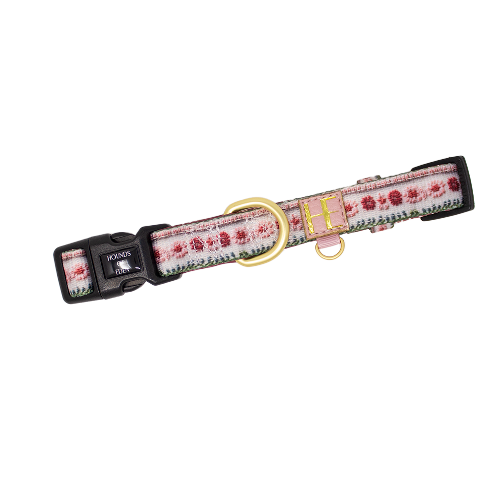 Bella's Jumper Dog Collar + Tag Holder - The Bark Market