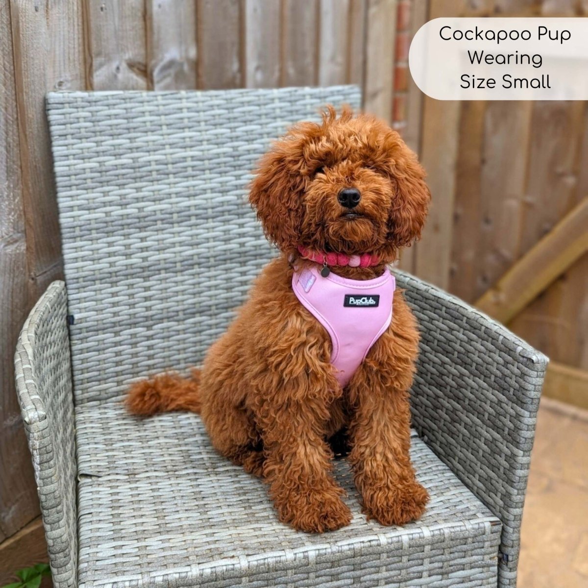 Adjustable Harness - Pastel Pink - The Bark Market