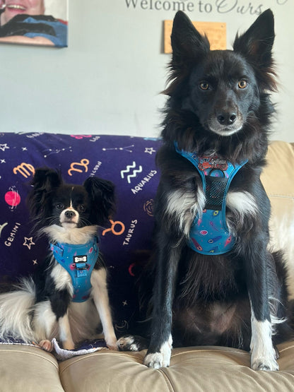 Power Peacock Step-In Adjustable Small Dog Harness