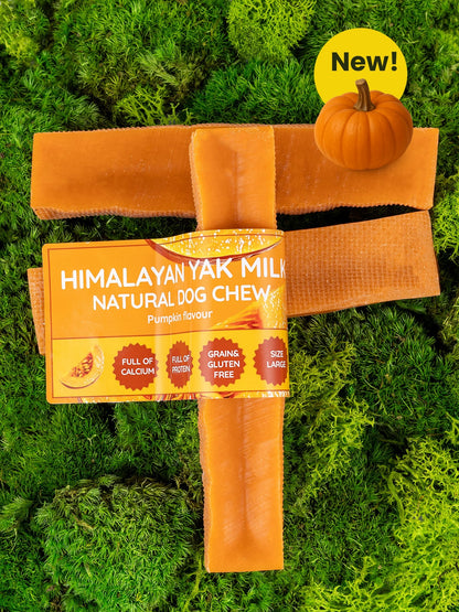 Pumpkin Yak Dog Chew - The Bark Market