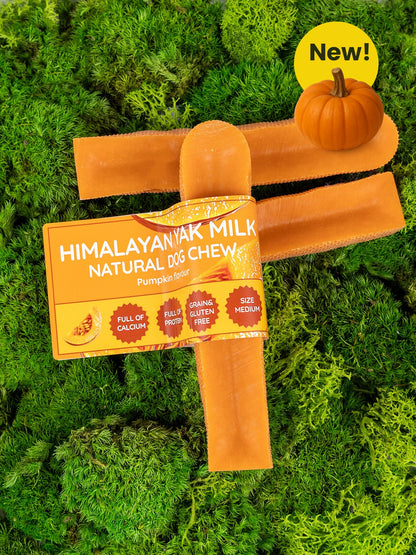 Pumpkin Yak Dog Chew - The Bark Market