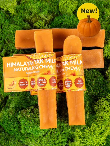 Pumpkin Yak Dog Chew - The Bark Market
