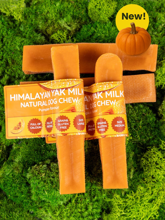 Pumpkin Yak Dog Chew - The Bark Market