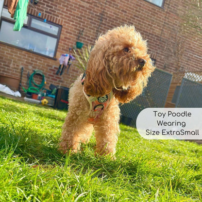 Rugged Rover™ Harness - Autumn Breeze - The Bark Market