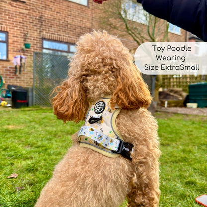 Rugged Rover™ Harness - Bee-utiful Summer - The Bark Market