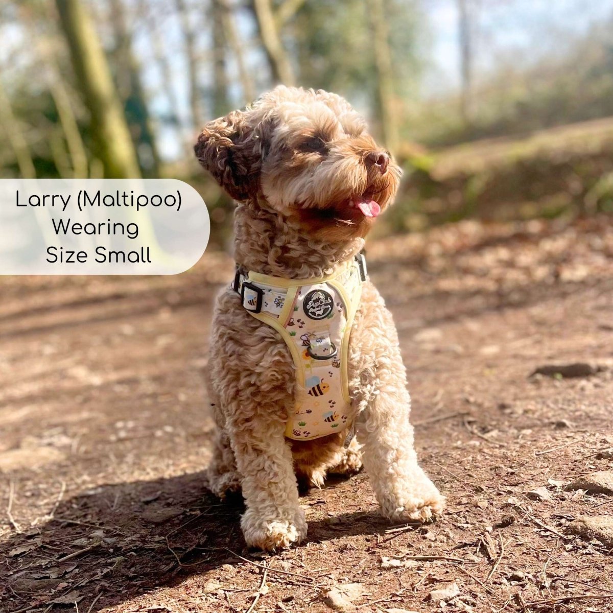 Rugged Rover™ Harness - Bee-utiful Summer - The Bark Market