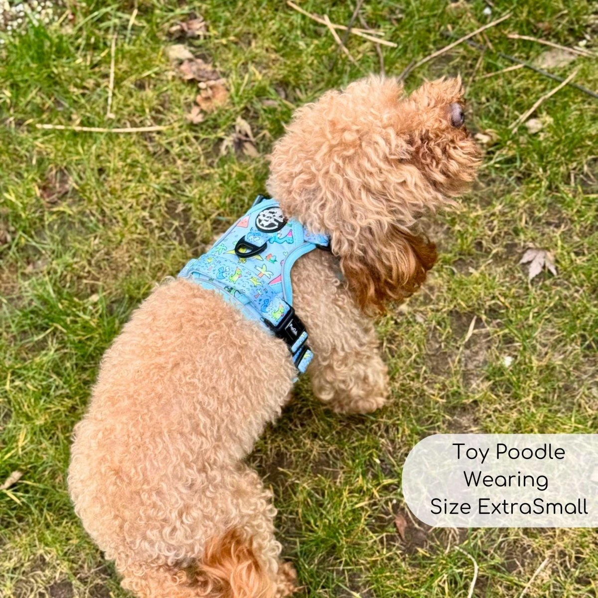 Rugged Rover™ Harness - Jurassic Party - The Bark Market