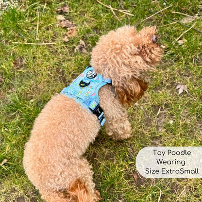 Rugged Rover™ Harness - Jurassic Party - The Bark Market