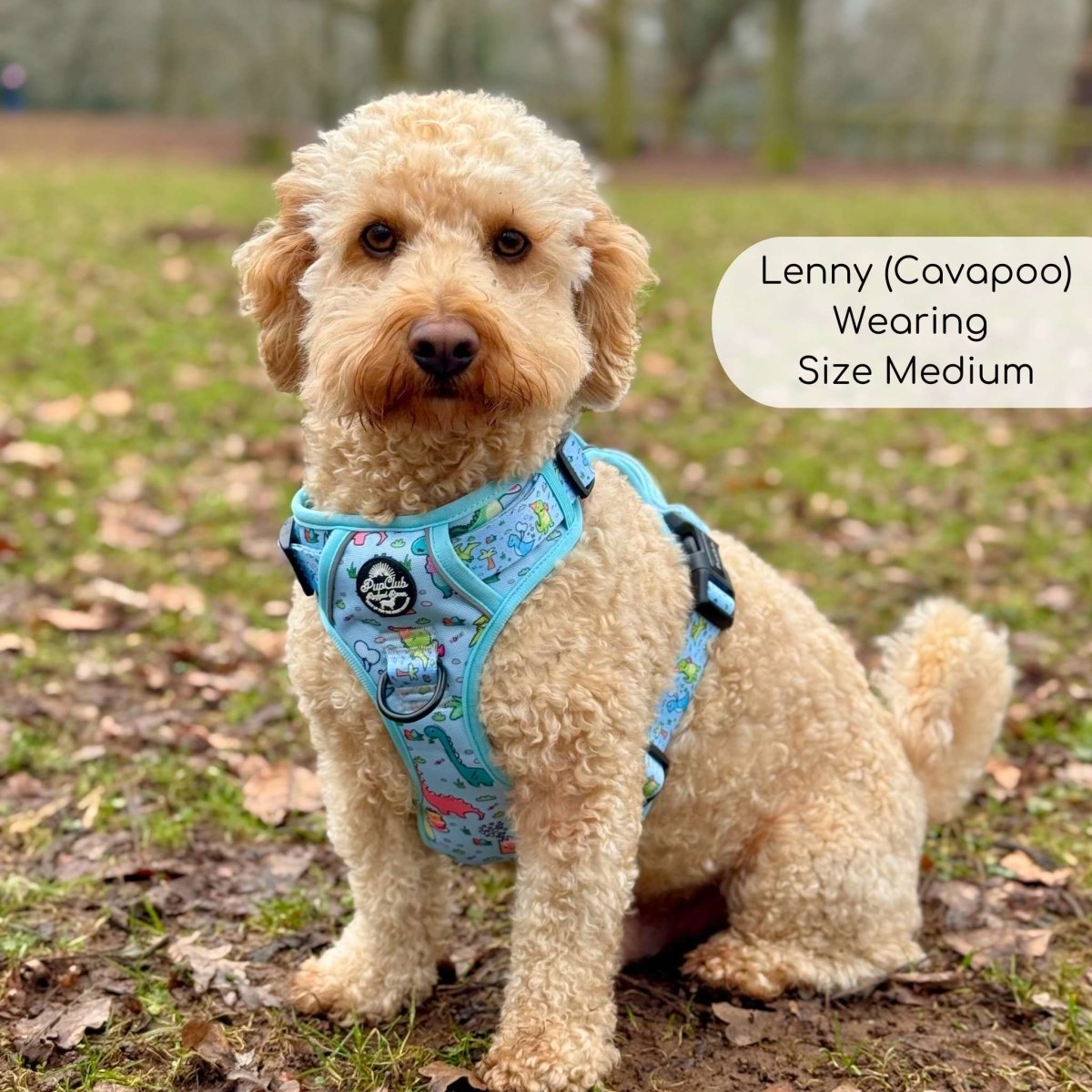 Rugged Rover™ Harness - Jurassic Party - The Bark Market