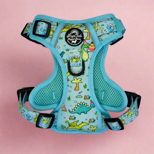 Rugged Rover™ Harness - Jurassic Party - The Bark Market