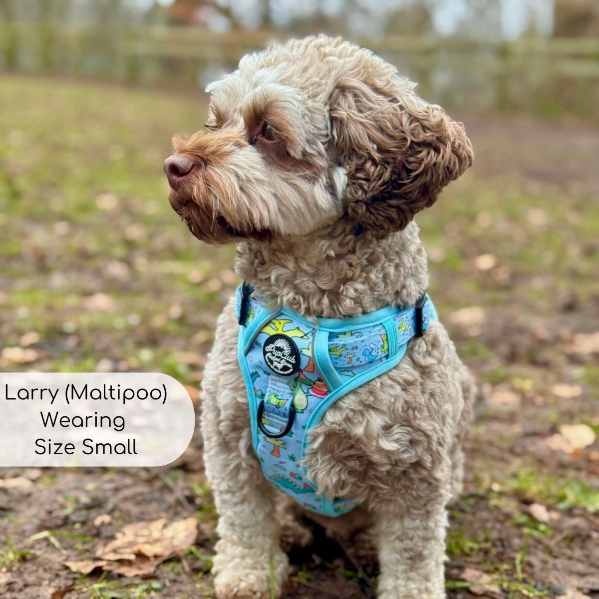 Rugged Rover™ Harness - Jurassic Party - The Bark Market