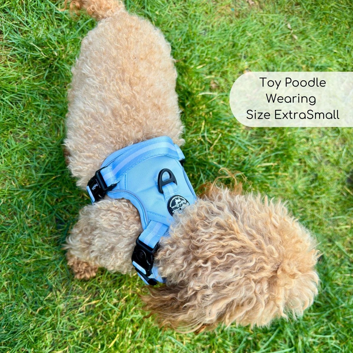 Rugged Rover™ Harness - Pastel Blue - The Bark Market