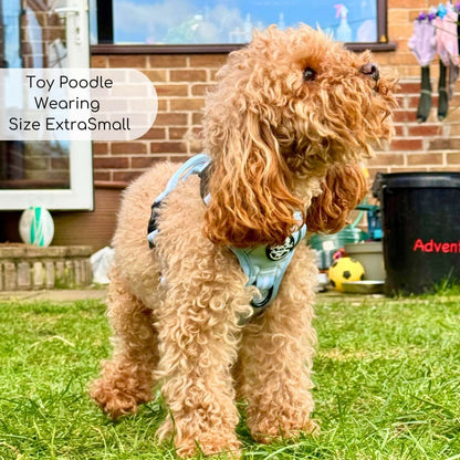 Rugged Rover™ Harness - Pastel Blue - The Bark Market
