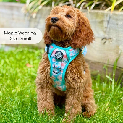Rugged Rover™ Harness - Pastel Daisy - The Bark Market