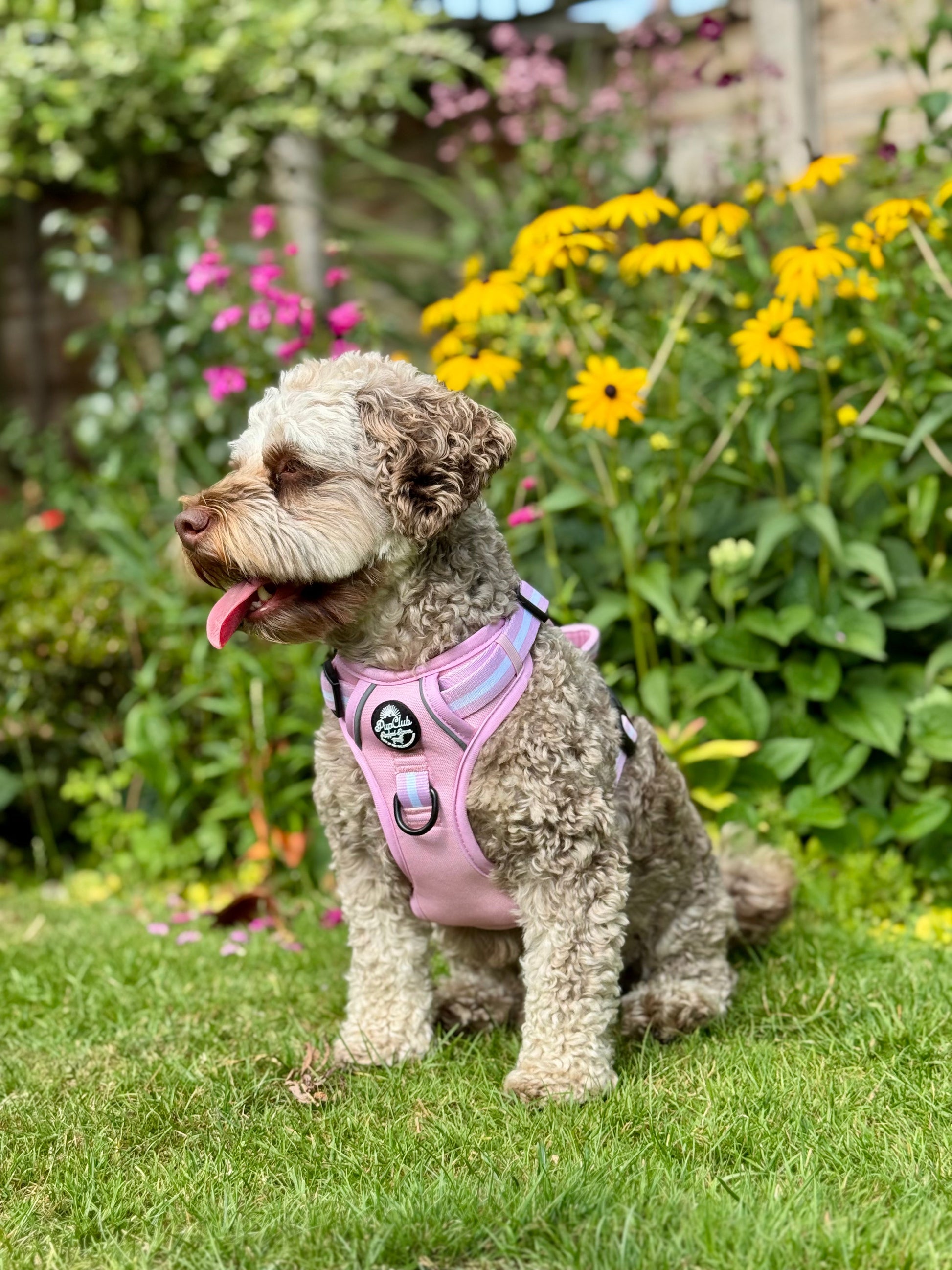 Rugged Rover™ Harness - Pastel Pink - The Bark Market