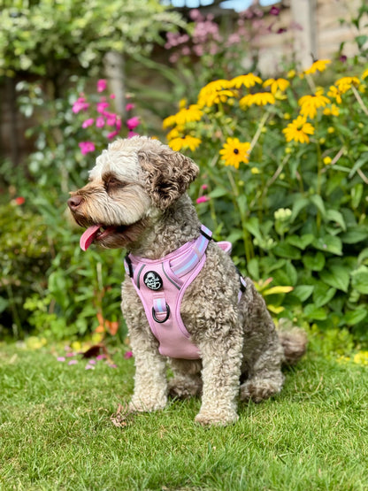 Rugged Rover™ Harness - Pastel Pink - The Bark Market