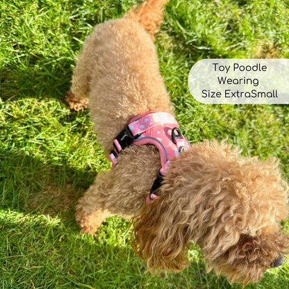 Rugged Rover™ Harness - Peachy Hearts - The Bark Market