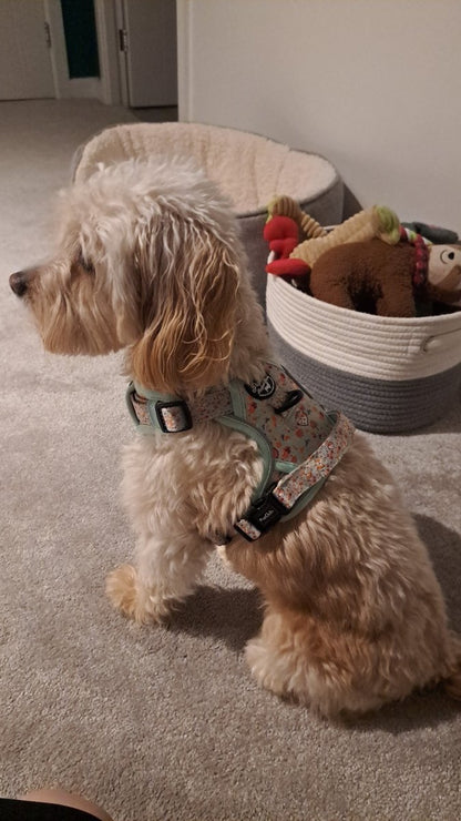 Rugged Rover™ Harness - Woodland Friends - The Bark Market