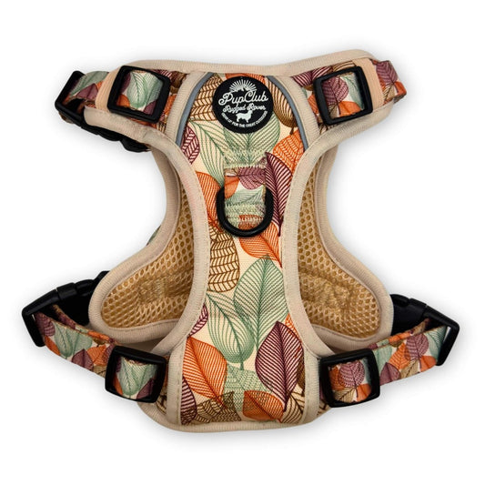 Rugged Rover™ Harness - Autumn Breeze - The Bark Market