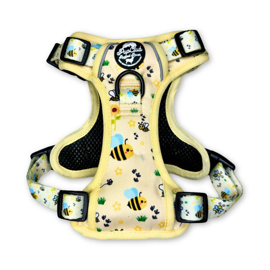 Rugged Rover™ Harness - Bee-utiful Summer - The Bark Market