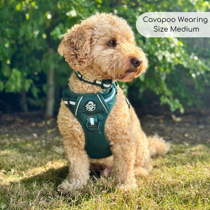 Rugged Rover™ Harness - Forest Green - The Bark Market