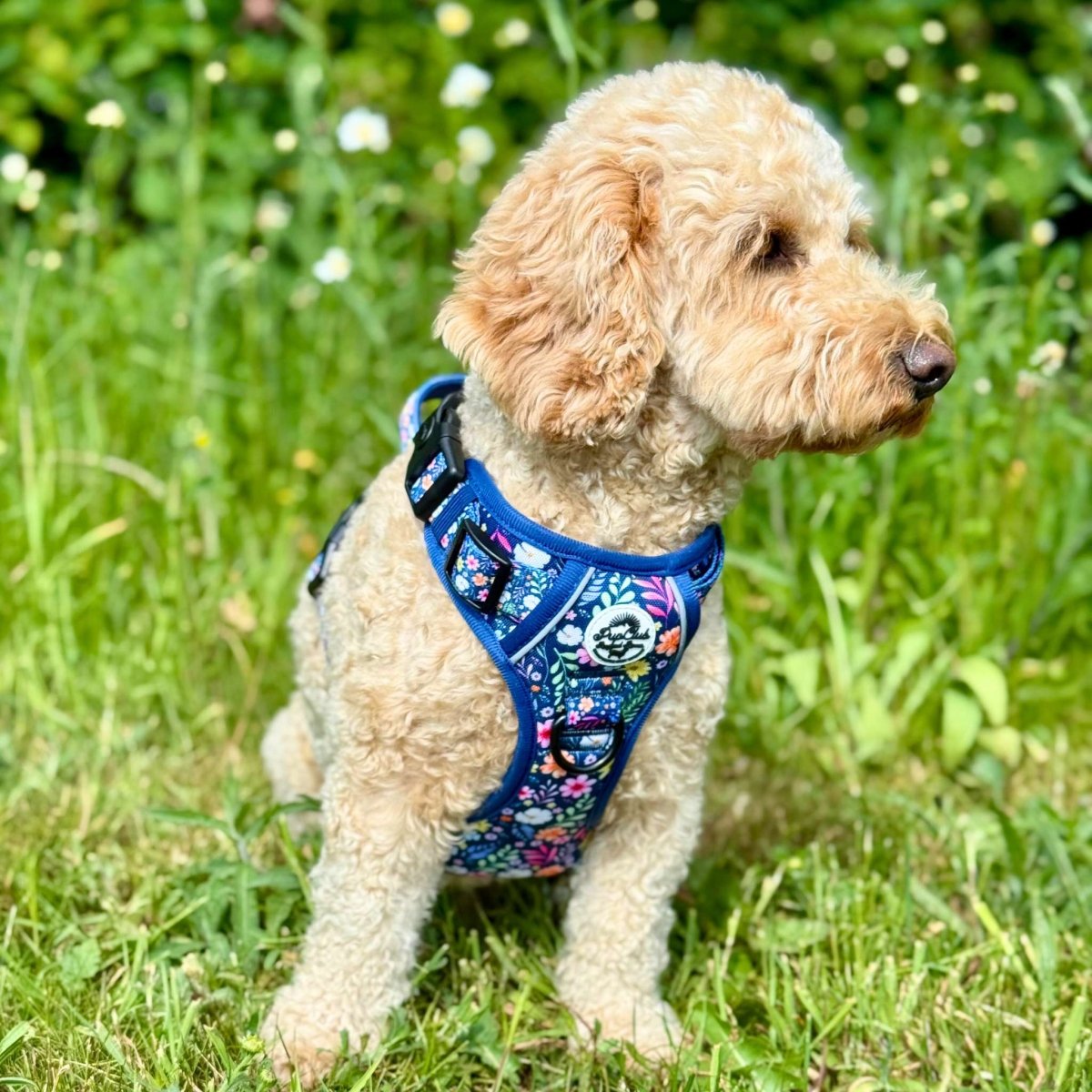 Rugged Rover™ Harness - Summer Meadow - The Bark Market