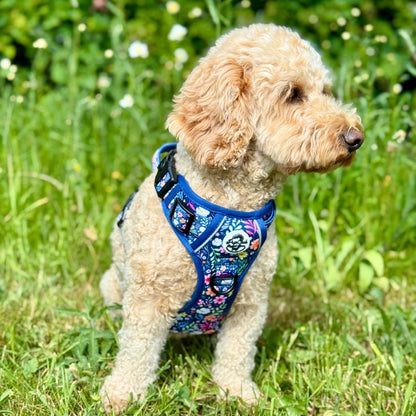 Rugged Rover™ Harness - Summer Meadow - The Bark Market