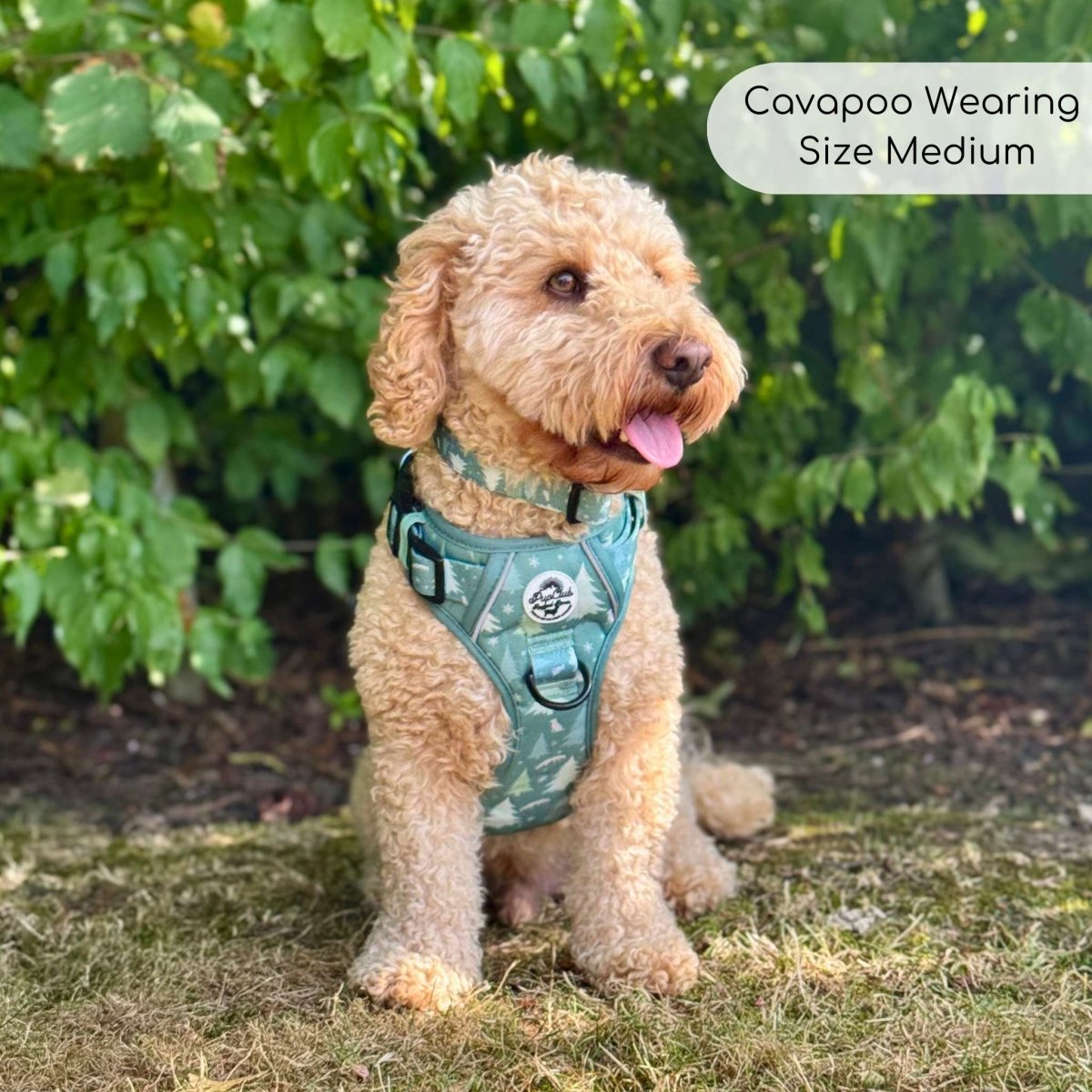 Rugged Rover™ Harness - Evergreen Trails - The Bark Market