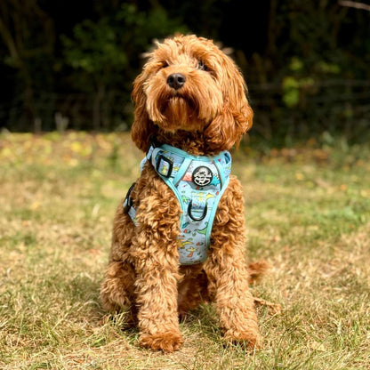 Rugged Rover™ Harness - Jurassic Party - The Bark Market