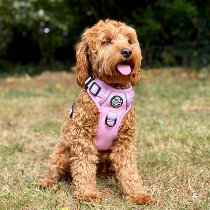 Rugged Rover™ Harness - Pastel Pink - The Bark Market
